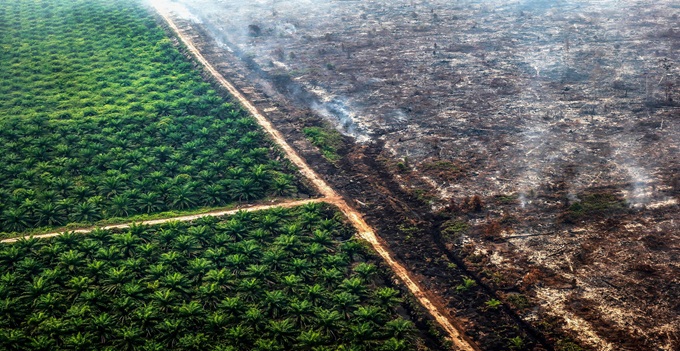 Distruzione dell’agricoltura, attacco all’uomo